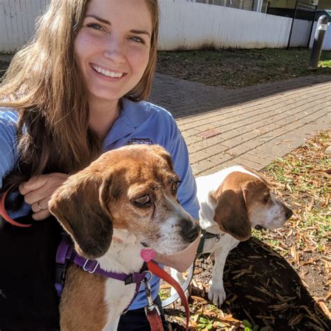 Spca charlottesville - Charlottesville SPCA names new chief. DAILY PROGRESS STAFF Oct 17, 2023 Oct 17, 2023 ; 0; × ...